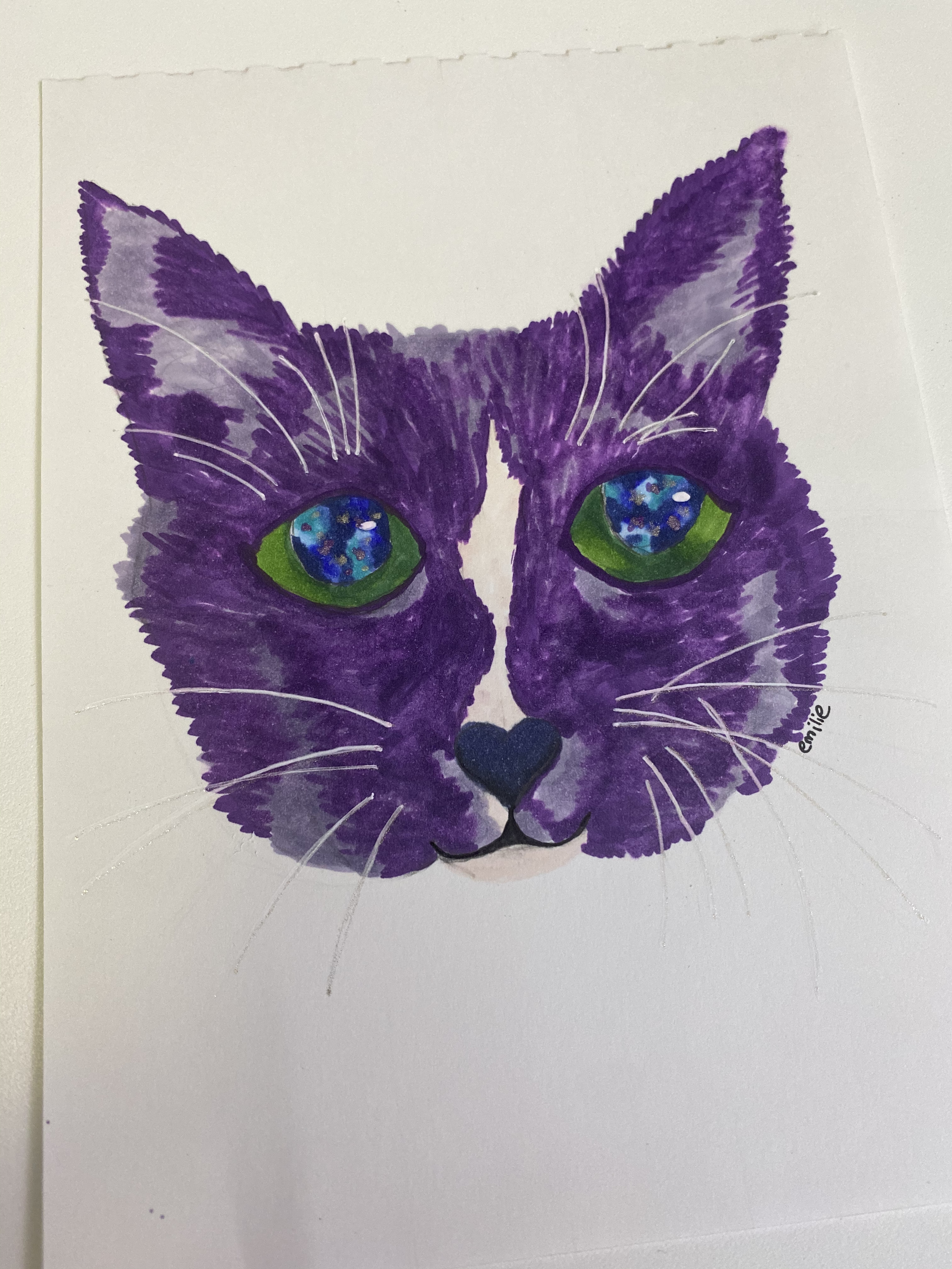 Image of a drawing of a cat face, colored in.